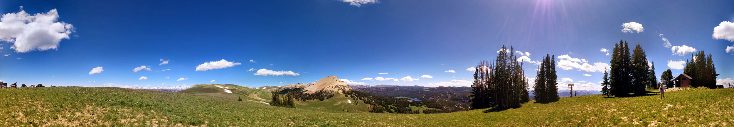 Shoshone National Forest Panorama