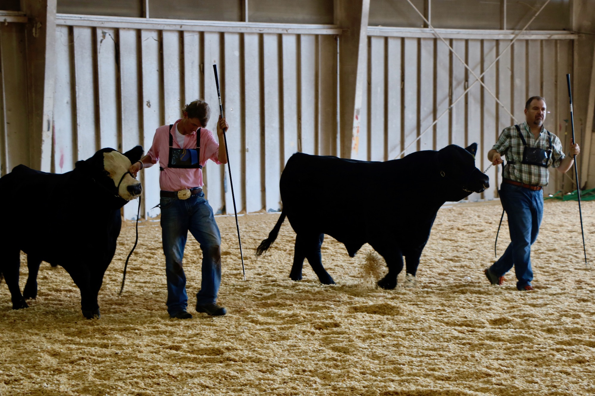 Colton Hudgins and Dr. Rodney Mills during a recent beef show.