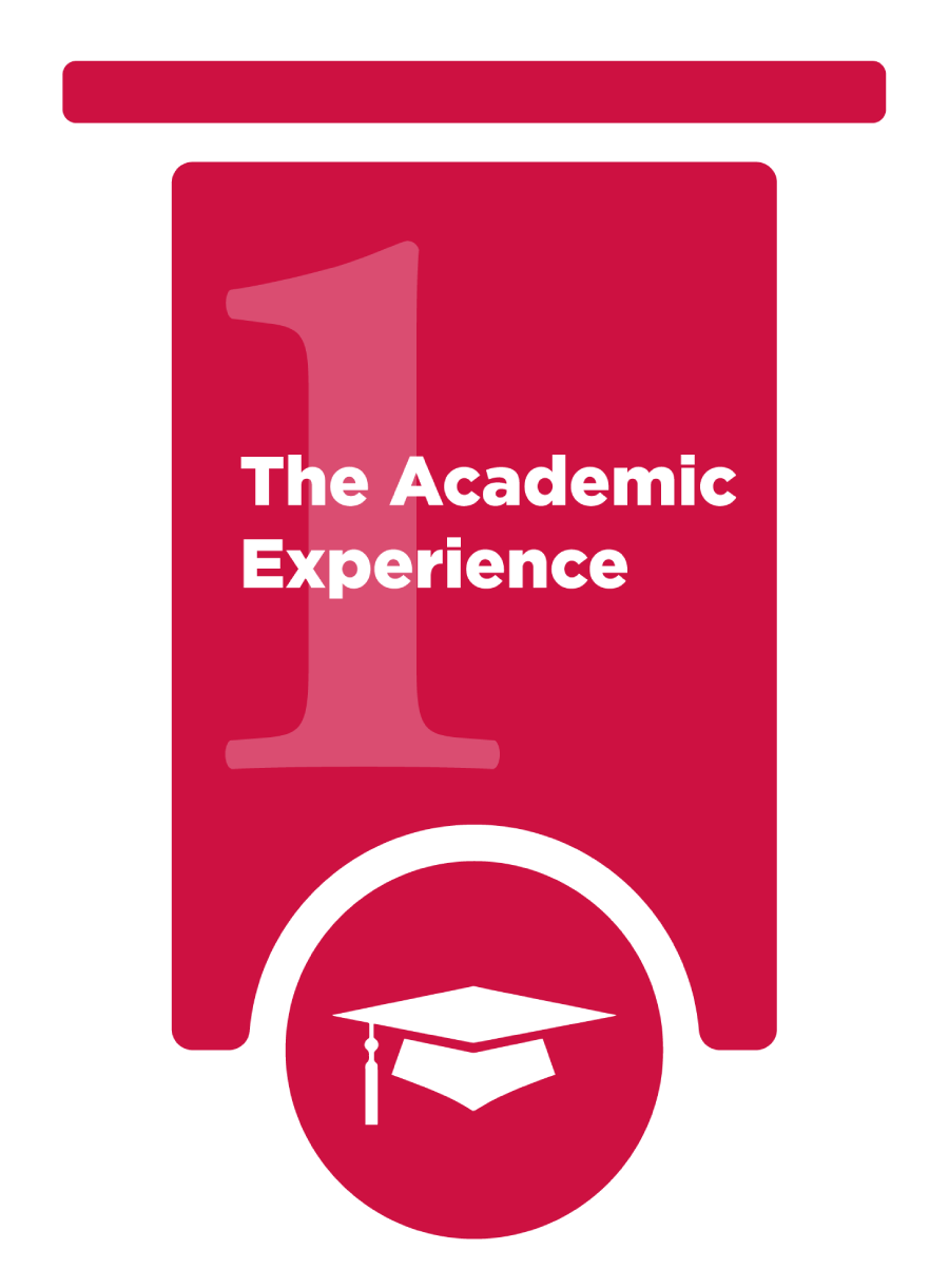 Pillar 1: The Academic Experience