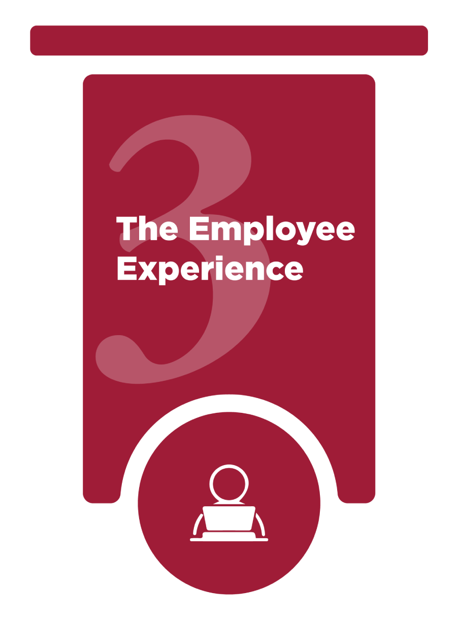 Pillar 3: The Employee Experience