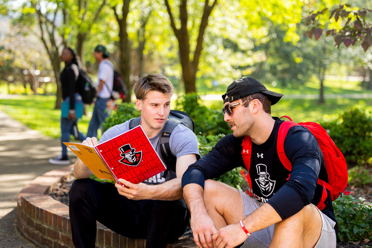 Students working on campus