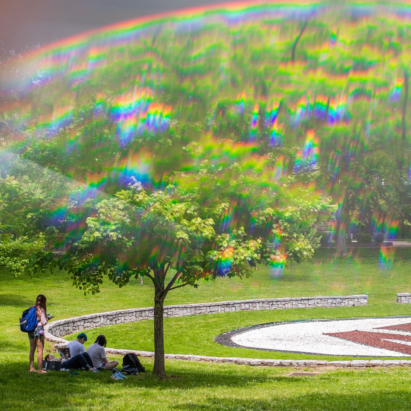 Students lounging outside under a tree