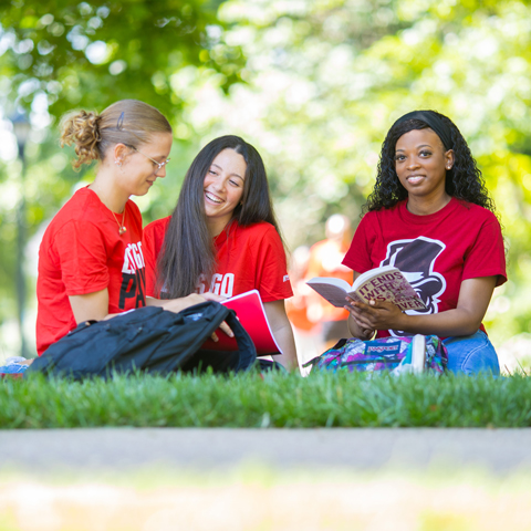 Students on the lawn studying