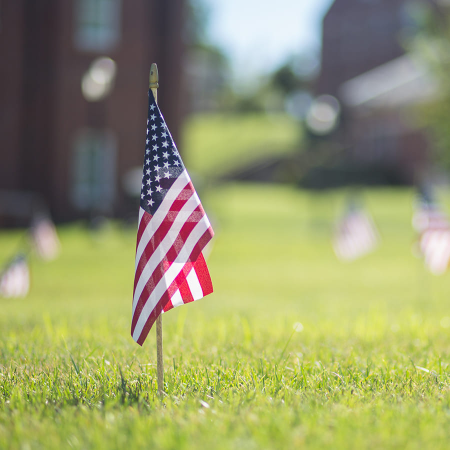 Close up of an American flag stuck in the grass with a shallow depth of field and more blurry flags and campus buildings in the background.
