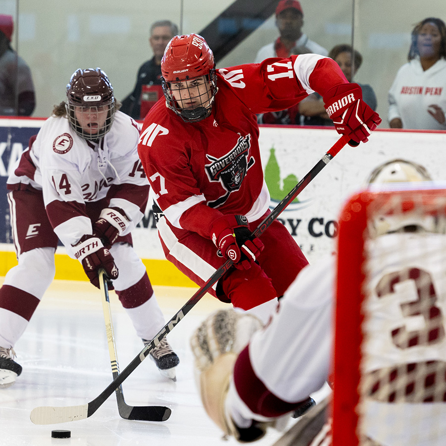 Hockey player aiming to shoot the puck at the goal.