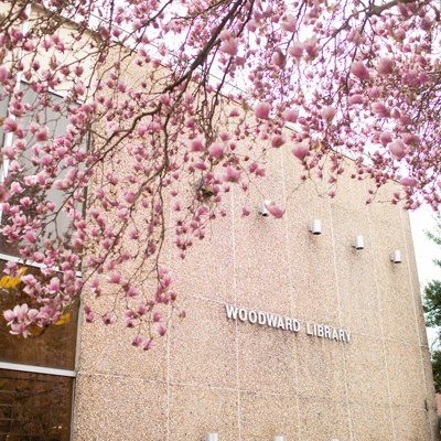 Woodward Library lettering on the side of the building framed by spring blossoms in the foreground.