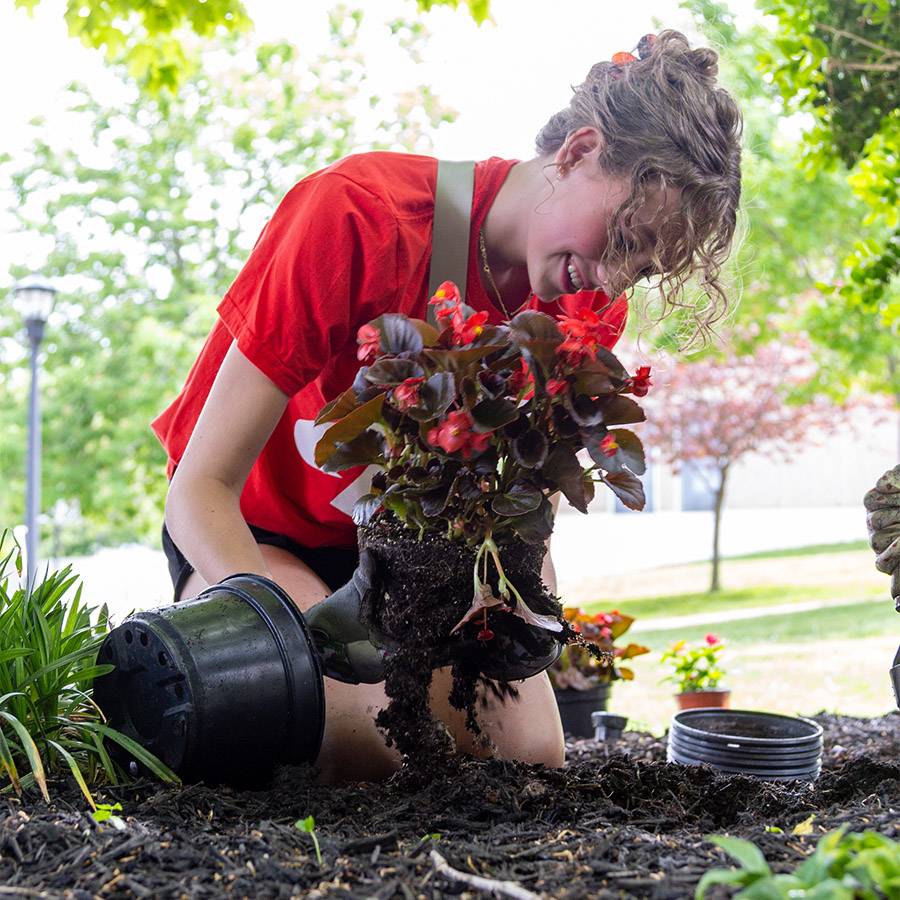 A smiling student in a red t-shirt getting a red plant ready to put in the ground.