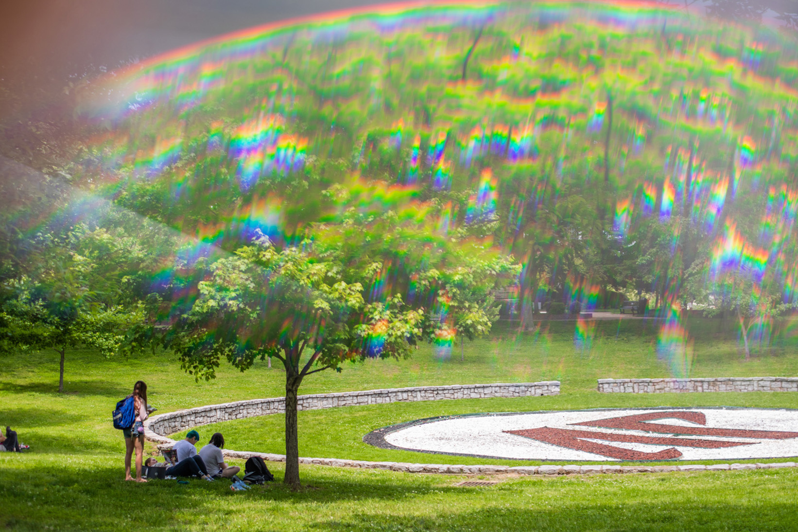 Students study in shade of trees in Harned bowl