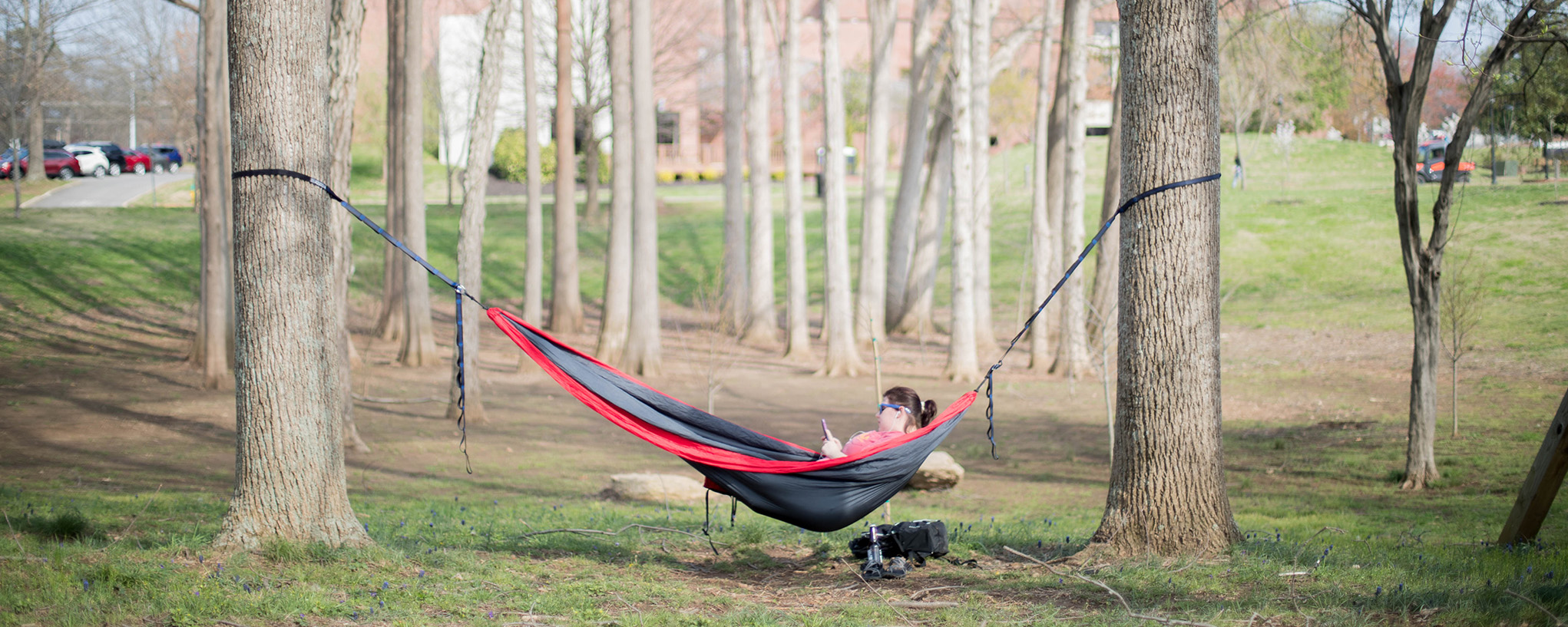 Students relax in hammocks in grove