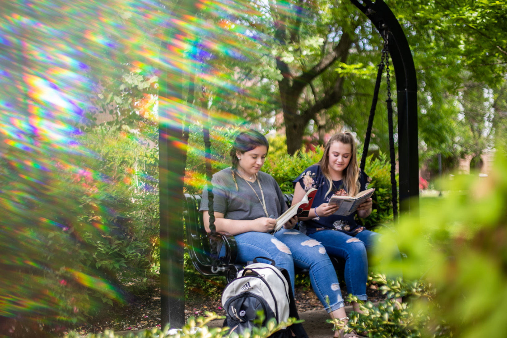 Students study in plaza swing