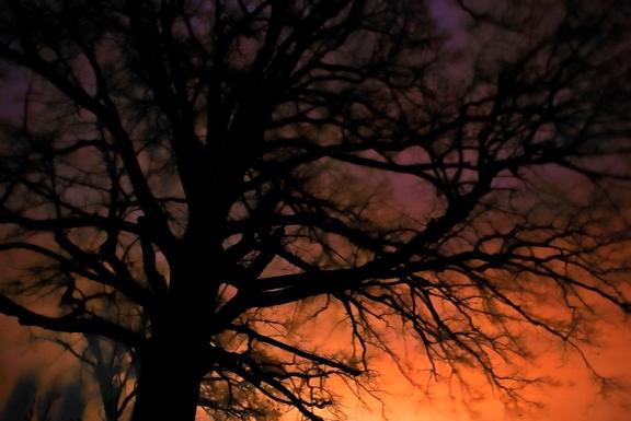 Photography Student Work