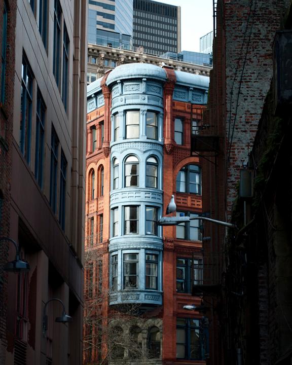 Photography Student Work