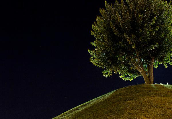 Photography Student Work