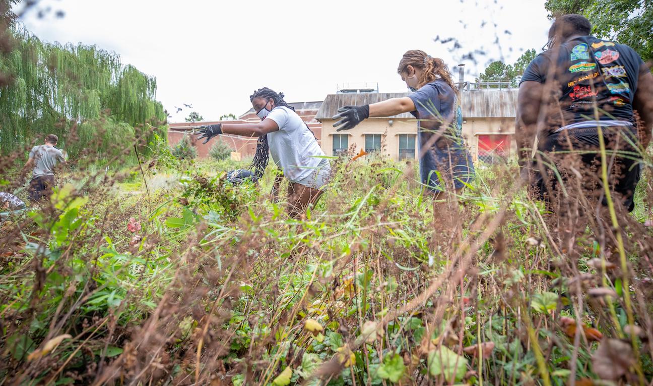 Students take part in Camp R.O.W.