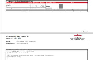 Visual screenshot of an example Detailed Report with Comments.