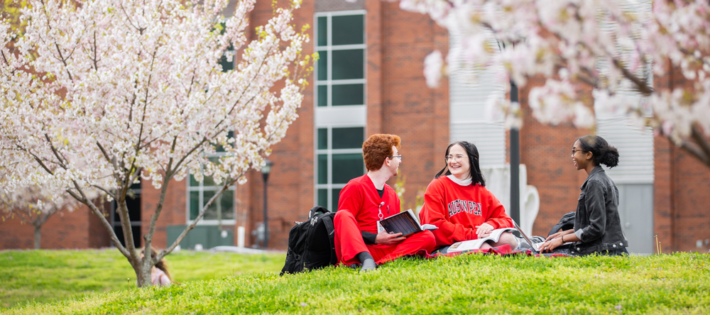 Students studying out on the lawn
