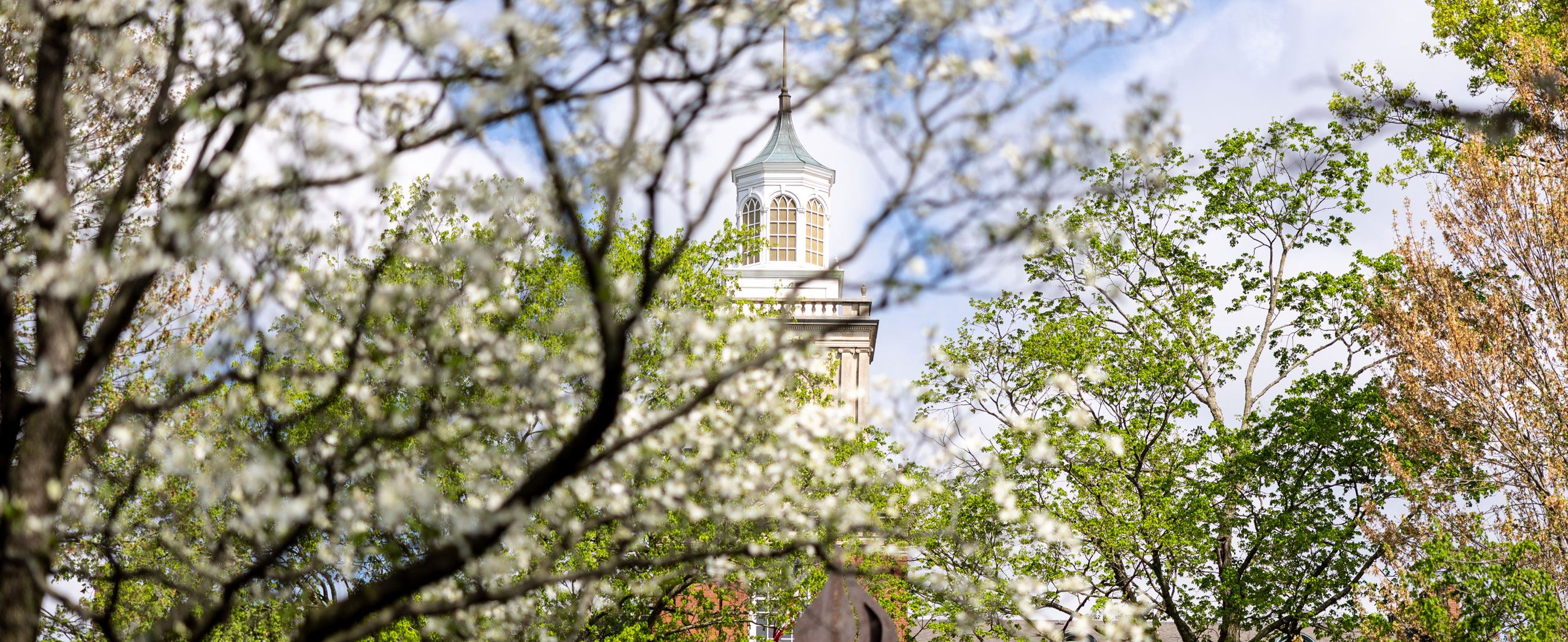 Browning Tower seen through tree limbs in spring bloom