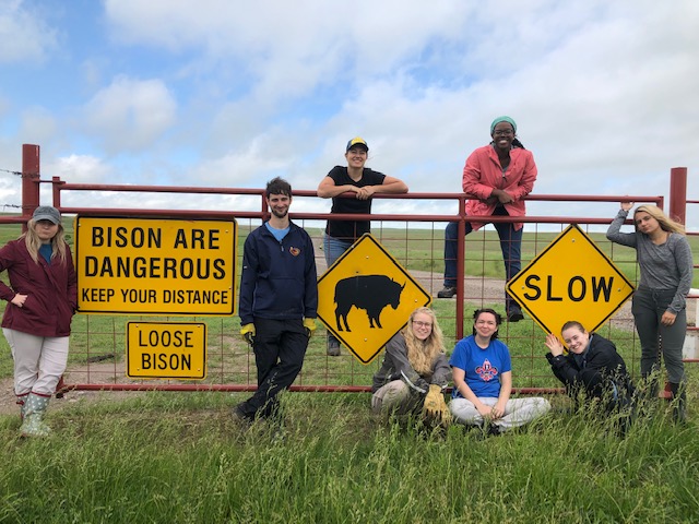 students next to cattle gate with danger bison signs