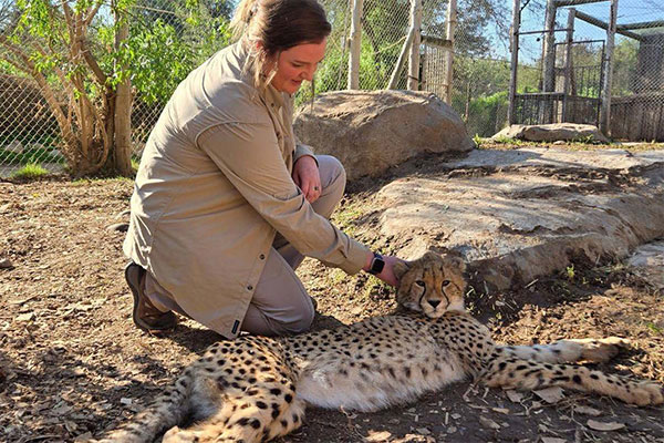 Spencer Summers in South Africa petting a cheetah.