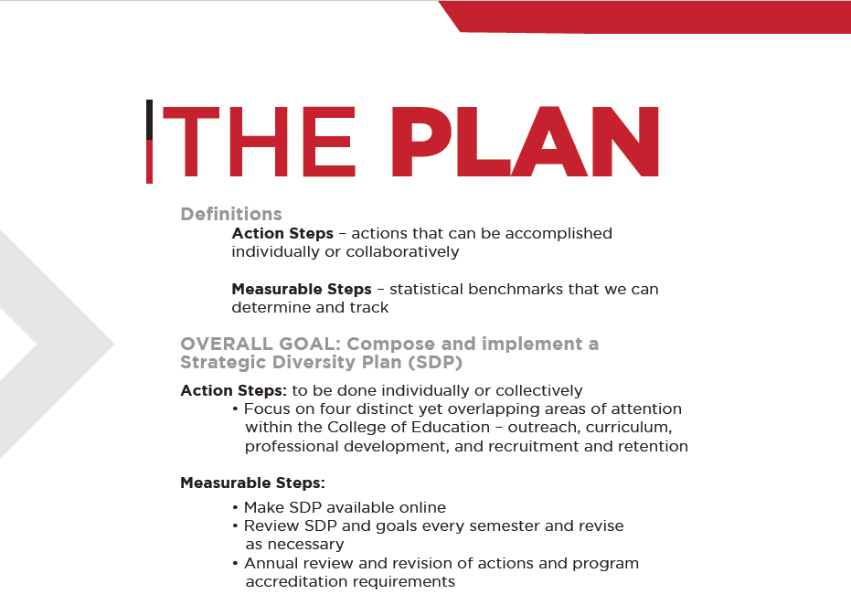 Outline of diverstiy plan setps for action and measure