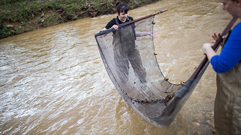Two members of the biology department go fishing with a net