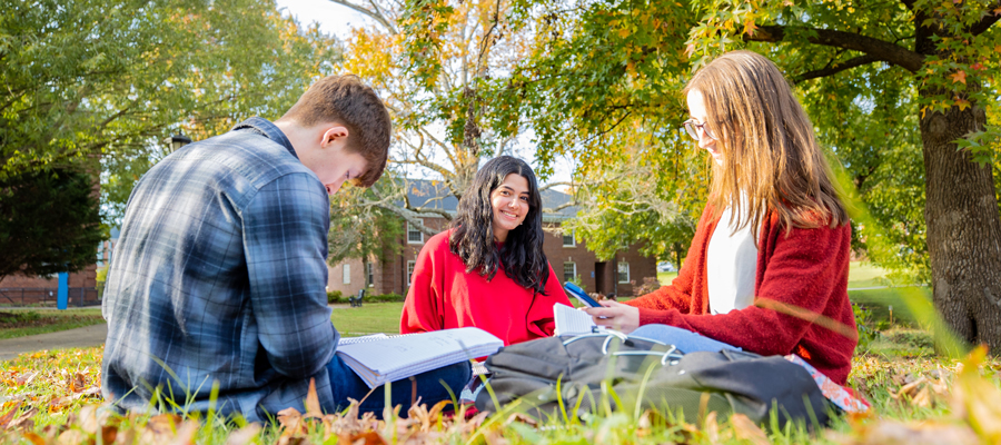 students studying on the lawn