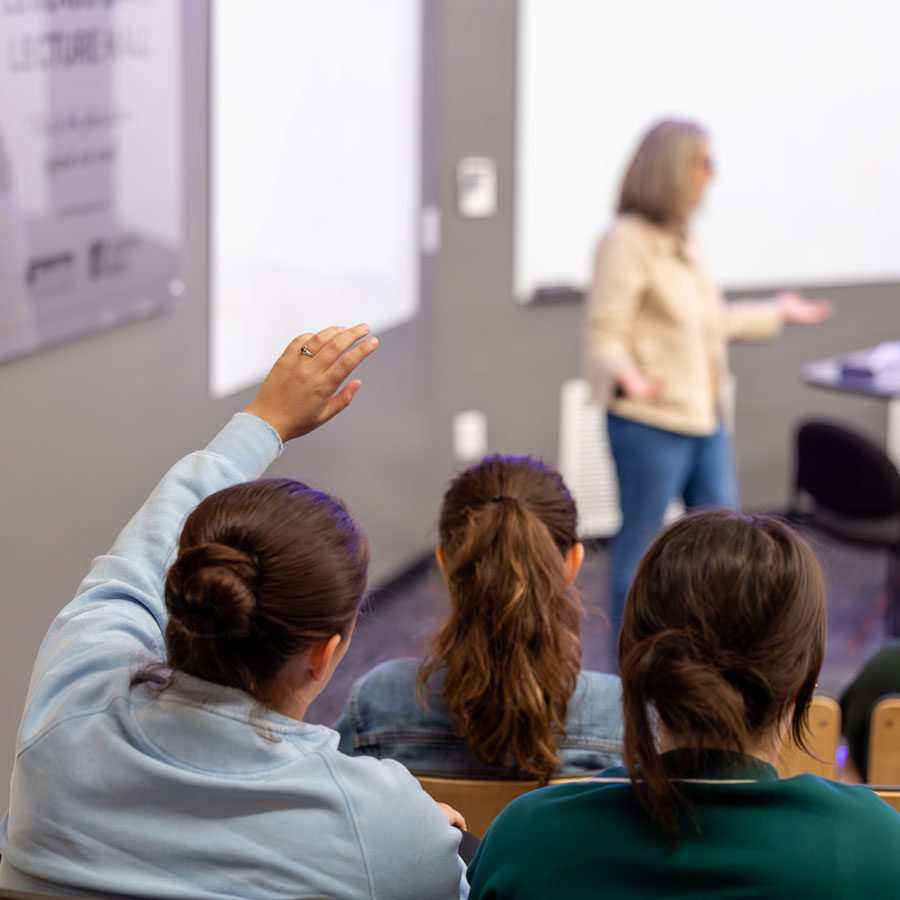 Student with their hand raised during class.