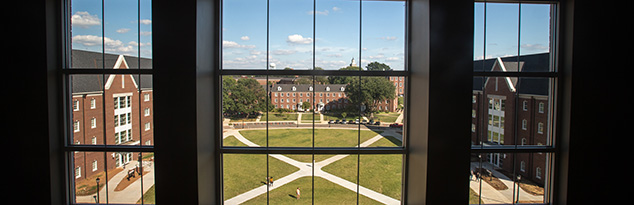 Quad window view