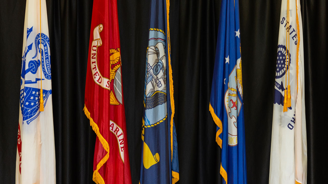 Row of military flags