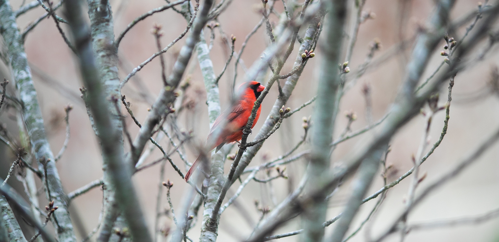 20200419-campus-candids-0451