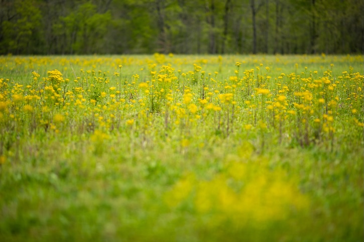 20210413-dwayne-estes-sgi-monocles-up-31