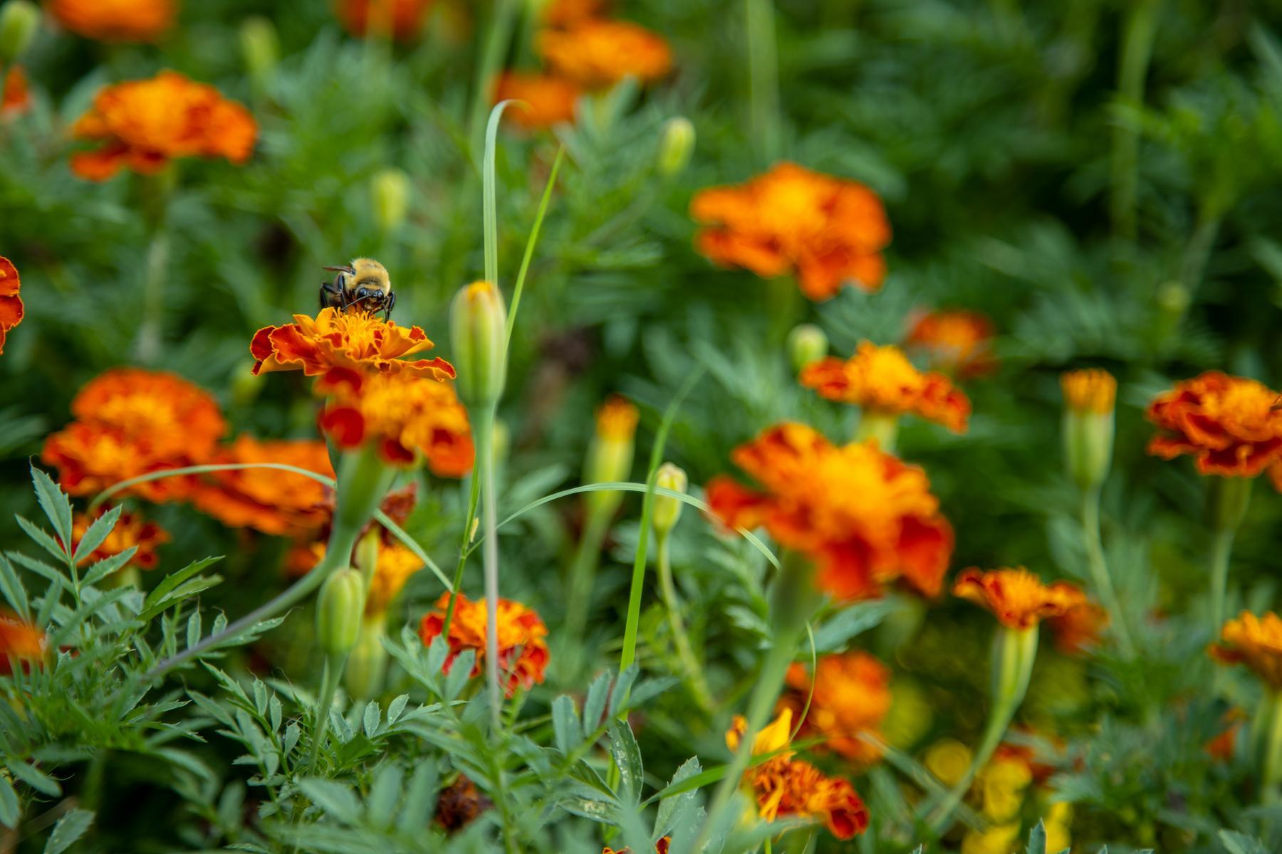 20210723-outdoor-education-center-13