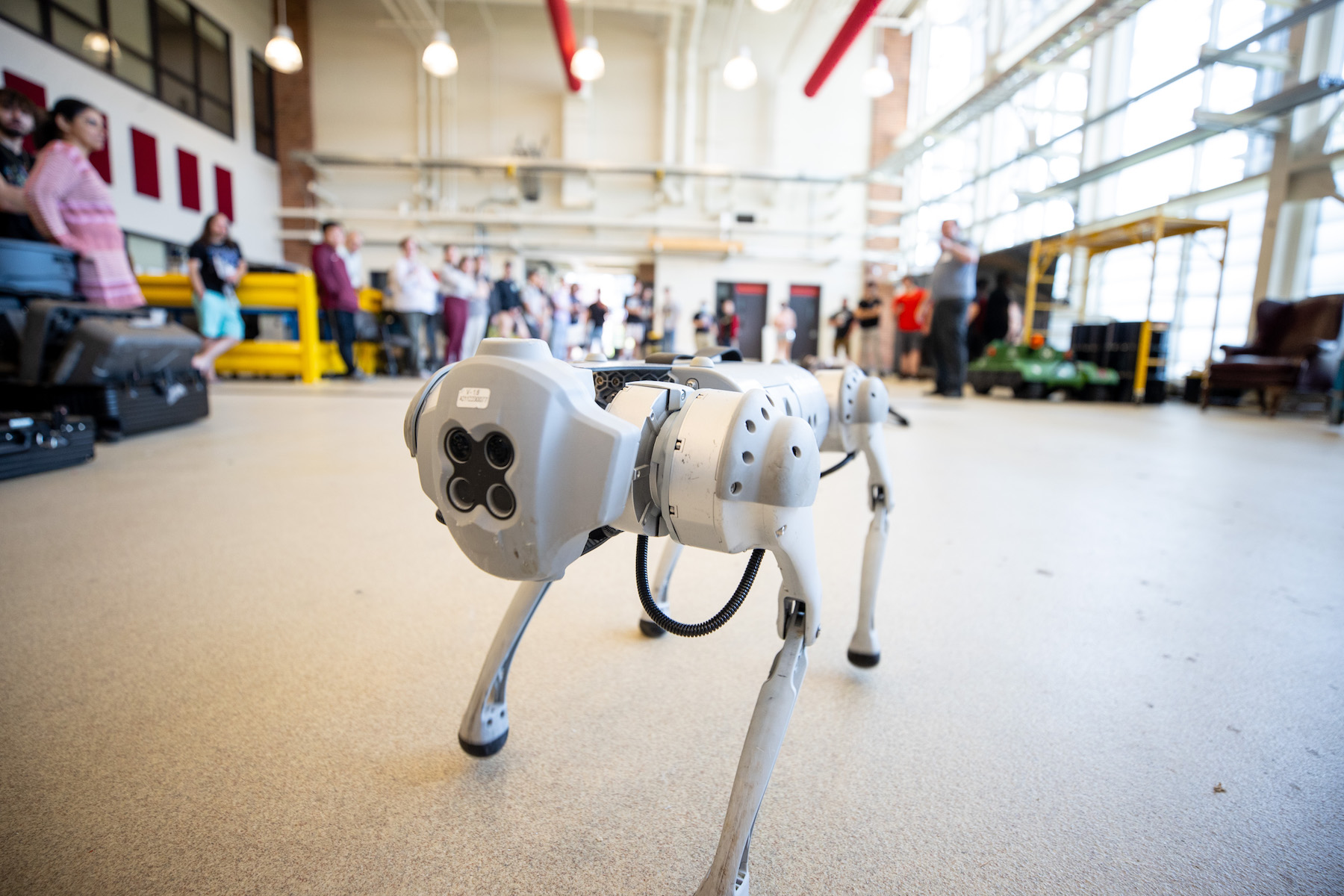 Robotic dogs walk, wag and climb for College of STEM students, professors