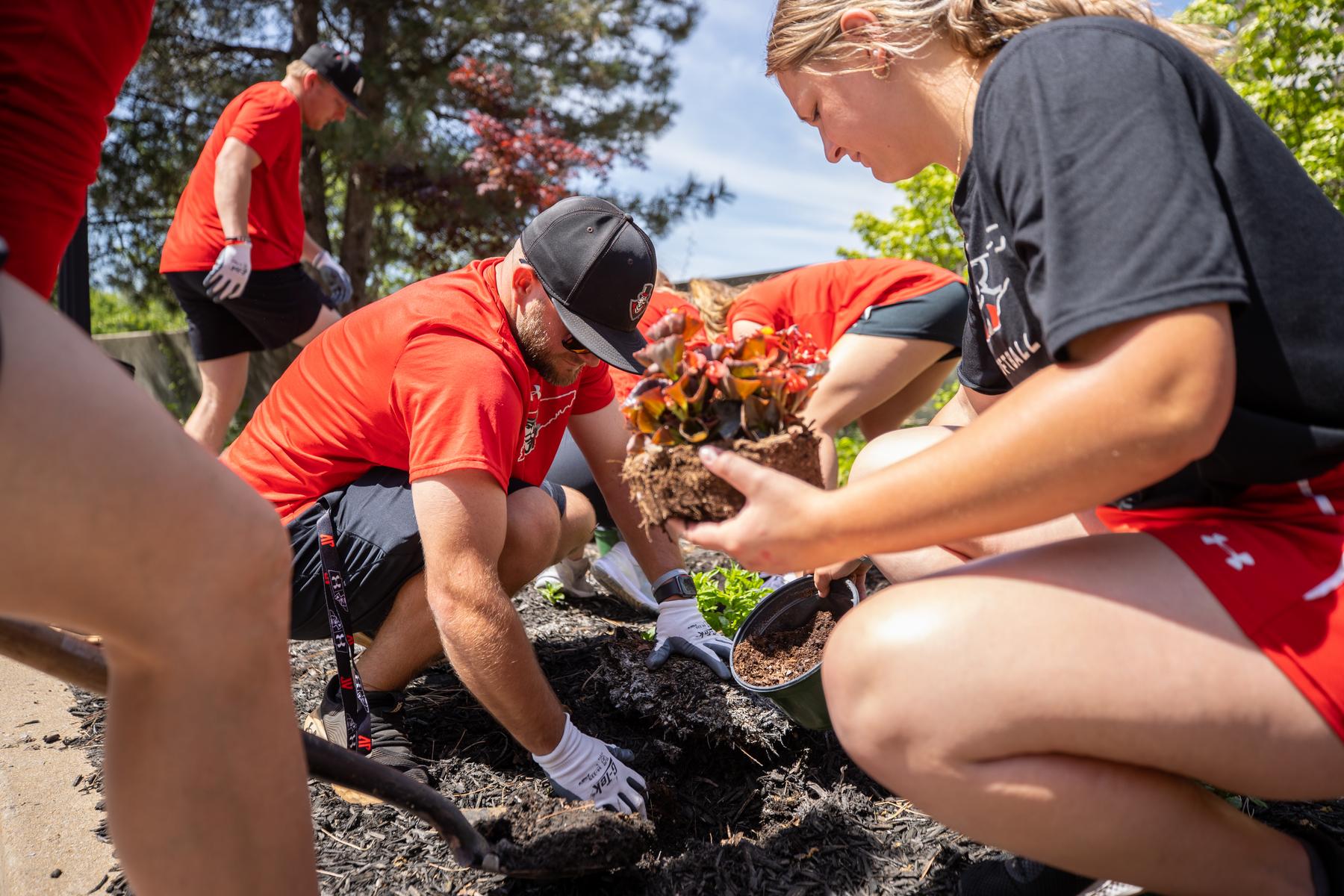 Volunteers plant flowers and shrubs at Austin Peay State University during Plant the Campus Red on April 20, 2023. This year’s event is scheduled for April 18 and is open for public signups. 
