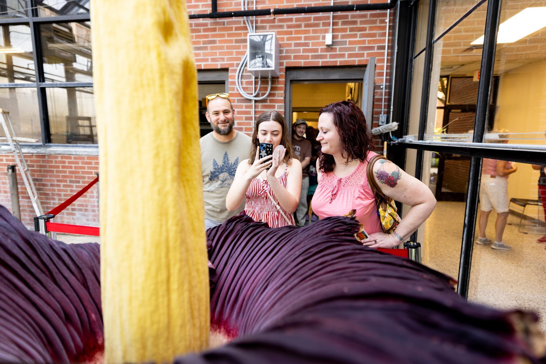 athena-bloom-visitors