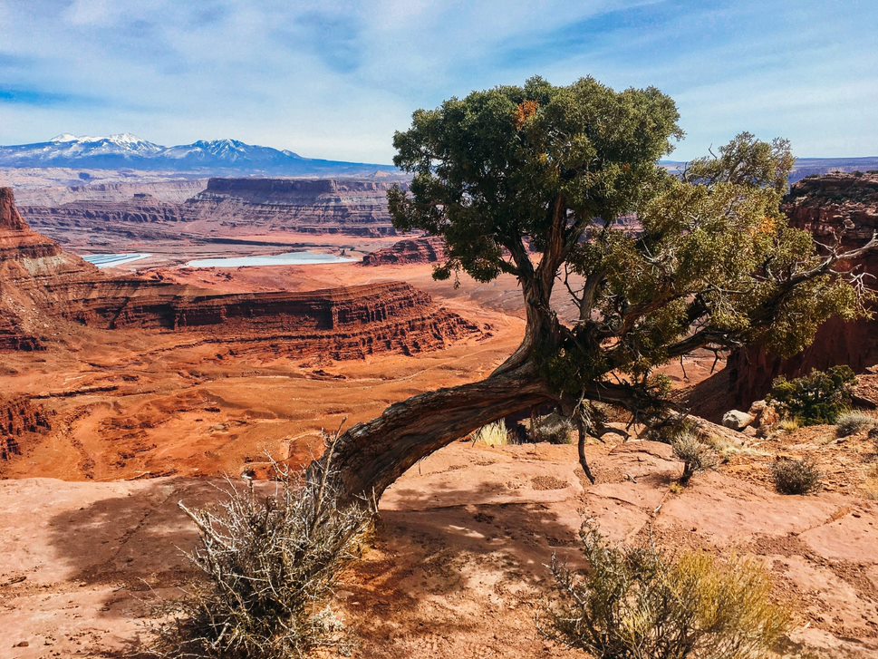 Austin Peay State University’s Govs Outdoors, a program through University Recreation, offers about 10 trips every semester to members of the Foy Fitness & Recreation Center, including Austin Peay students, faculty and staff and members of the surrounding community.