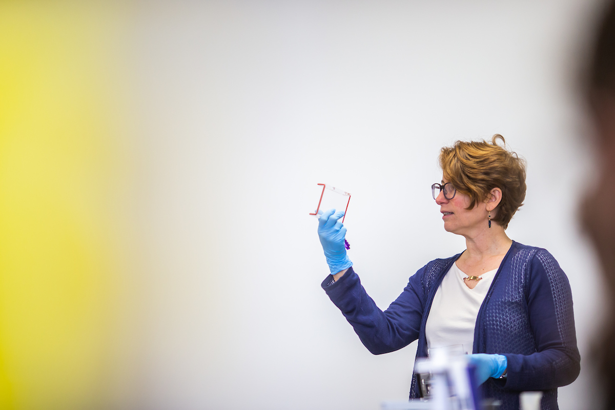 Austin Peay State University professor Dr. Mollie Cashner leads a genetics class on campus.