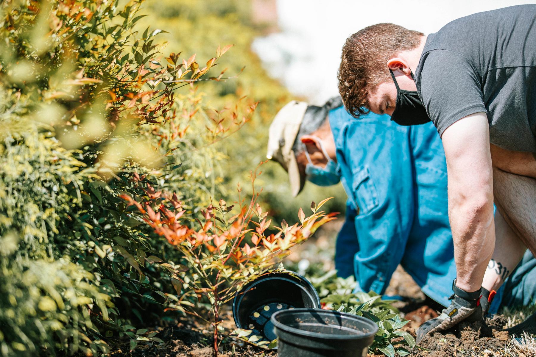 Volunteers at a previous Plant the Campus Red event. 