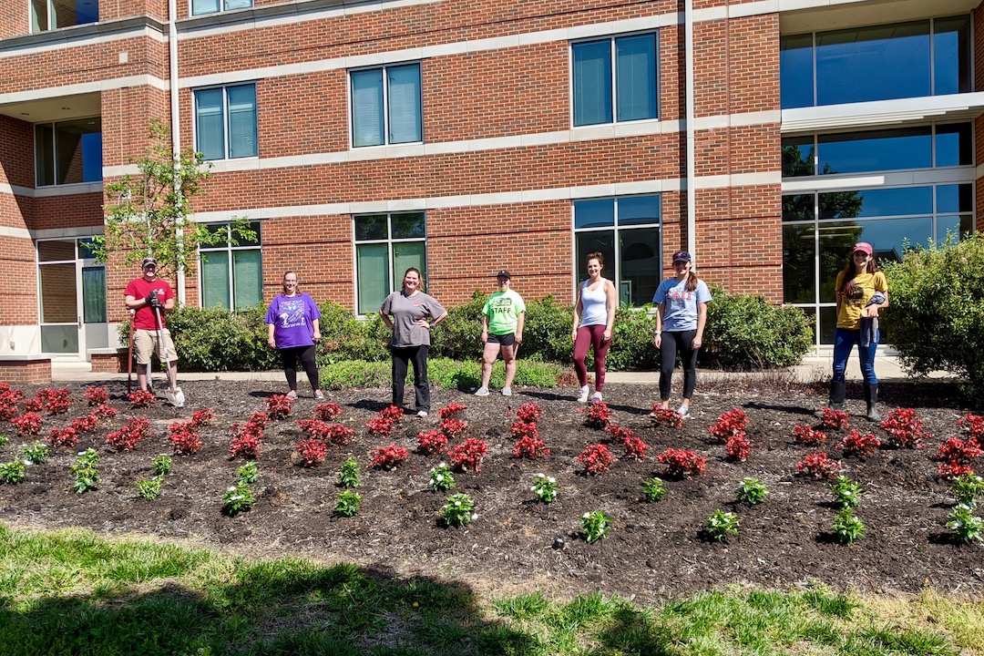More than 30 volunteers used social distancing over four days to Plant the Campus Red at Austin Peay State University.
