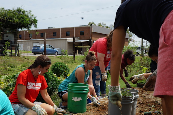 Freshman students perform service work.