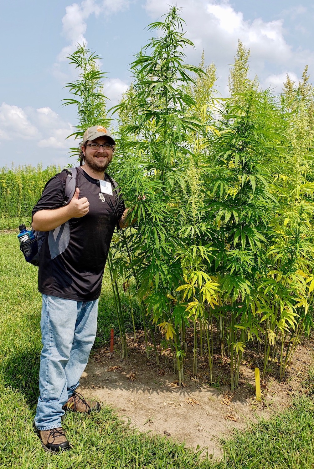 National Science Foundation fellow Josh Kraft stands with Purdue University's industrial hemp crop.