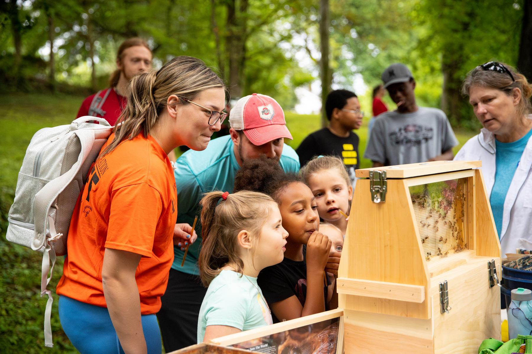 Children search for a beehive's queen during a demonstration at APSU's Pollinator Week event. 