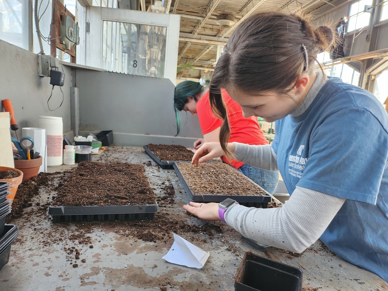 Photo: APSU students help plant over 5,000 seeds for an eventual fresh produce distribution during an Alternative Break trip to St. Louis, Missouri.