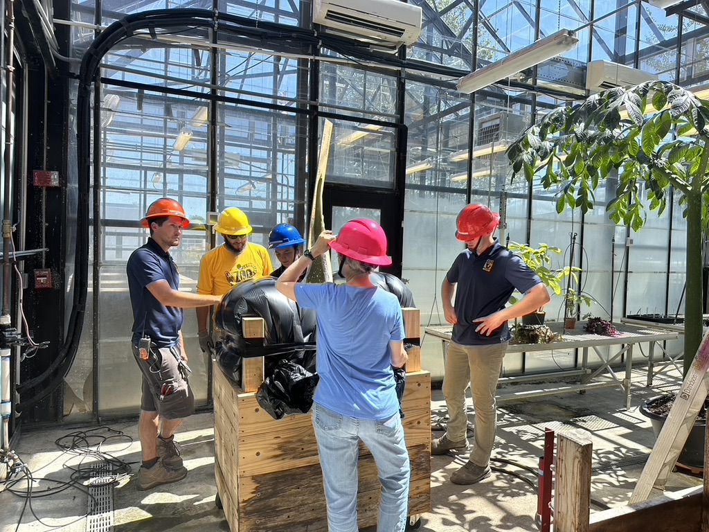 Zeus, Austin Peay State University’s corpse flower, receives a visit from Nashville Zoo employees as they prepare for his move. The plant will return to Austin Peay after repairs to the College of STEM’s storm-damaged greenhouse.