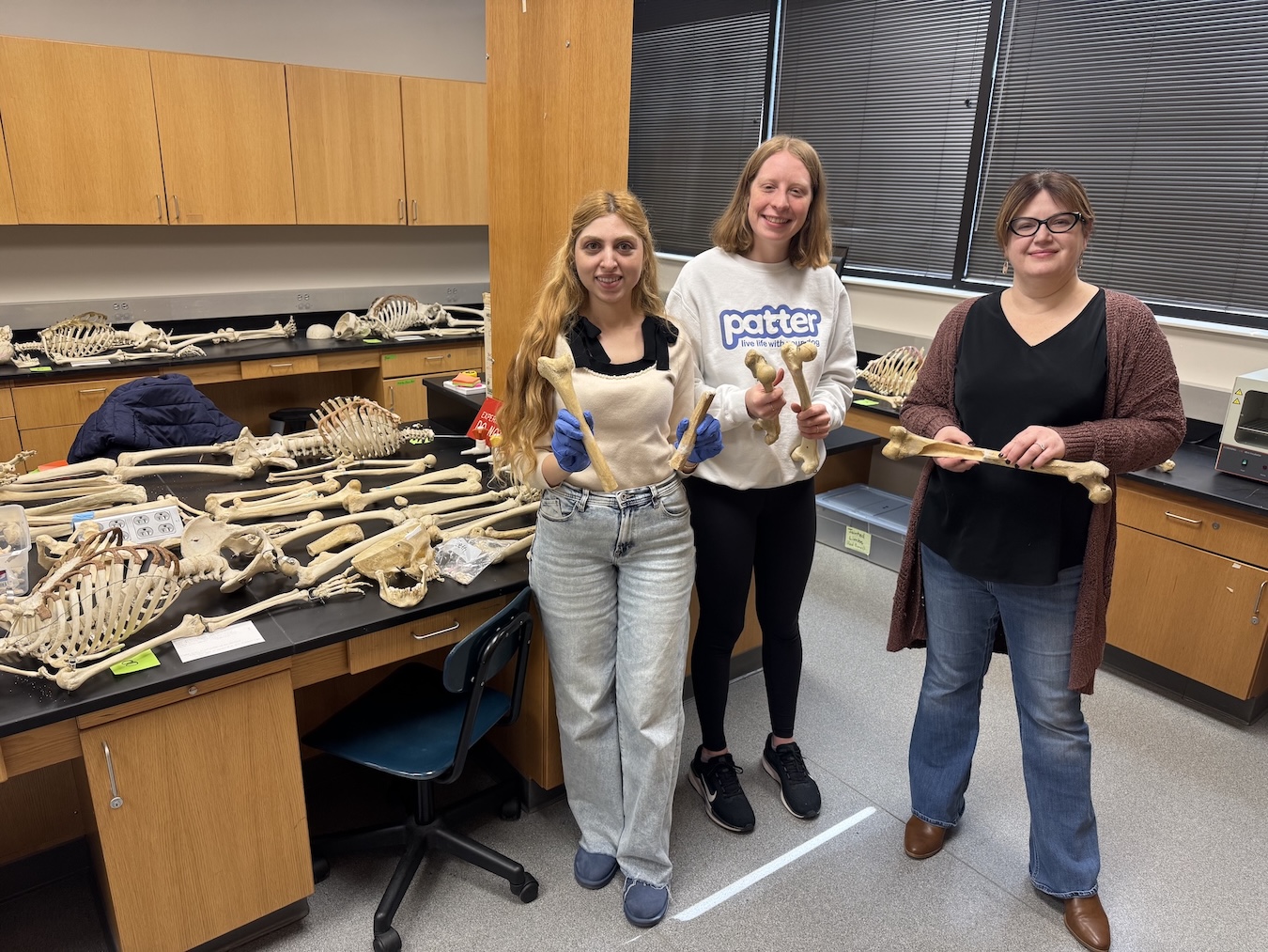 thompson-lab-skeletons