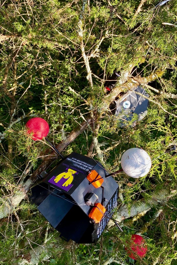 The payload landed 60 feet high in a pine tree along the Cumberland River in Kentucky.