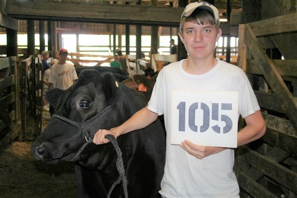 Tyler Head shows a cow during a Beef Show.
