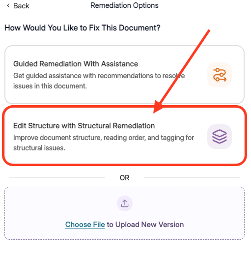 Panorama Structural Remeditation Button in Accessibility Report