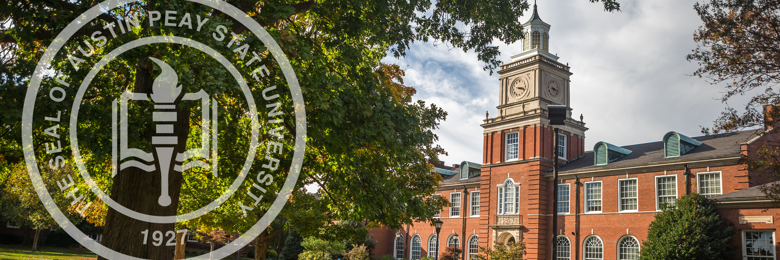 Carousel background image.