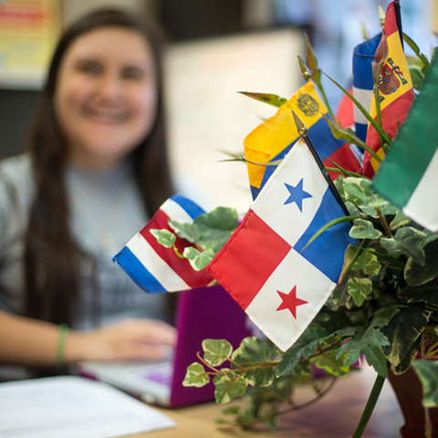 Flags in the Latino Community Resource Center